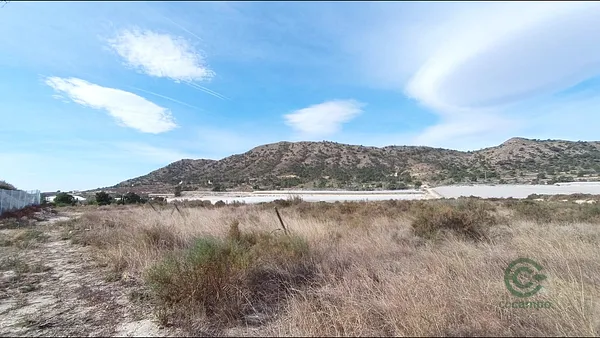 Spot image