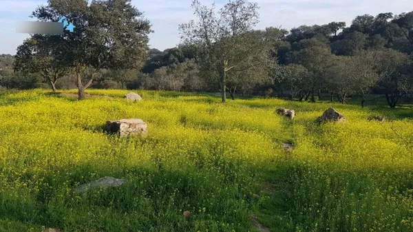 Terreno urbano de 0,727 ha en venta en Badajoz, Badajoz