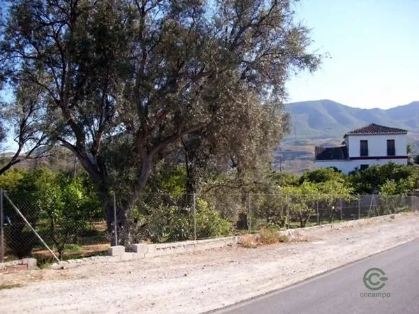 Spot image