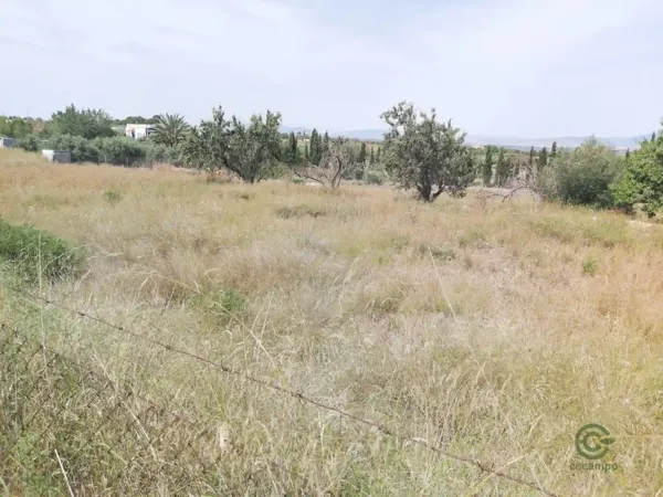 Spot image