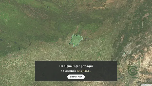 Spot image