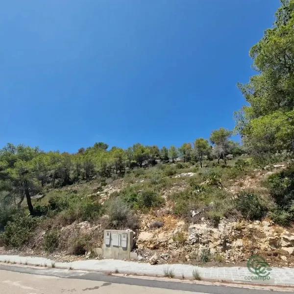 Spot image
