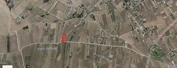 Spot image