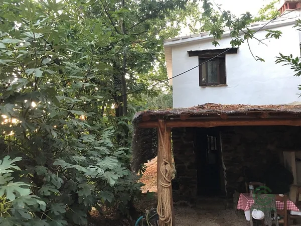 Finca rústica de 2,6 ha en venta en Genalguacil, Málaga