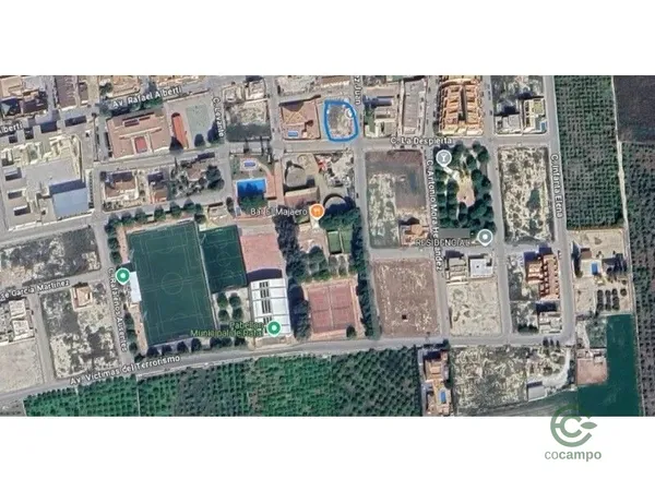 Spot image