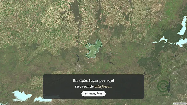 Spot image