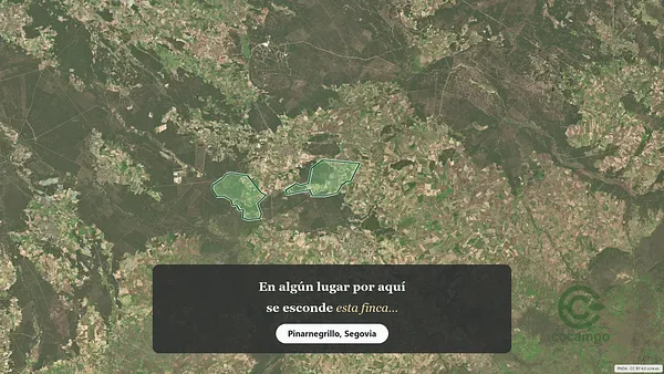 Spot image
