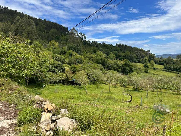 Finca rústica de 0,34 ha en venta en Villaviciosa, Asturias