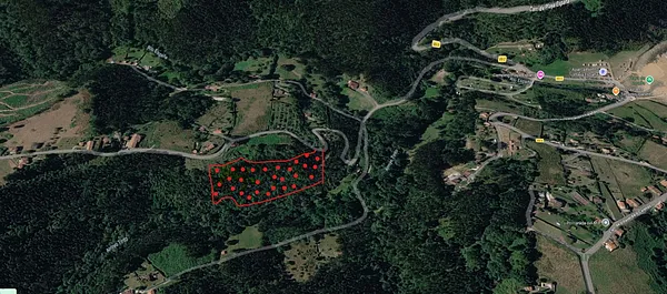 Spot image