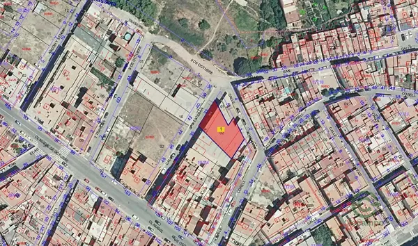 Spot image