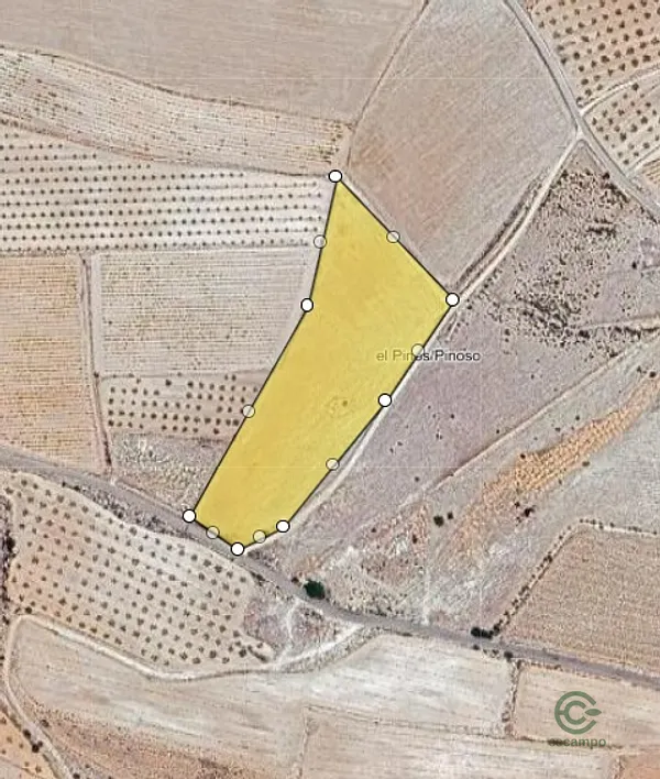Spot image