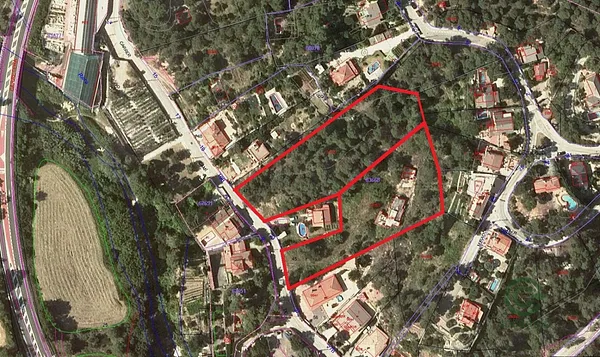 Spot image