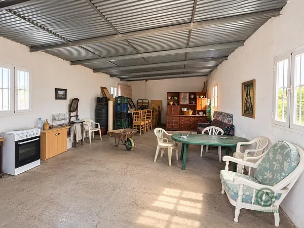 Spot image
