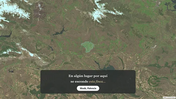 Spot image