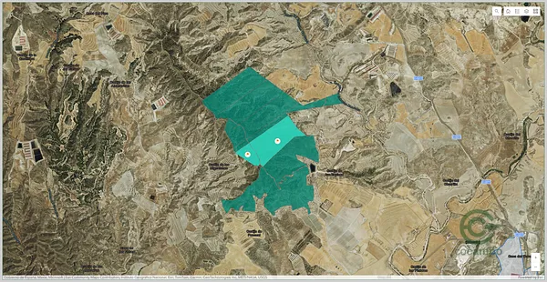 Spot image