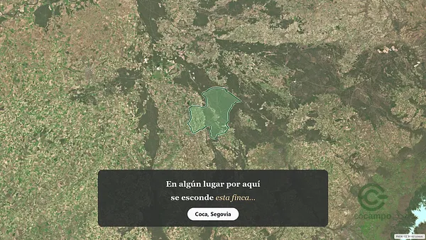Spot image