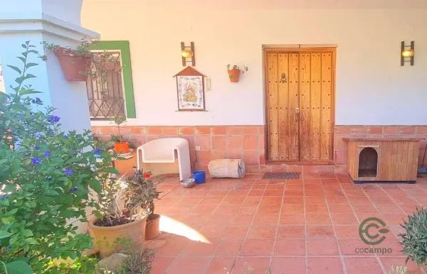 Spot image