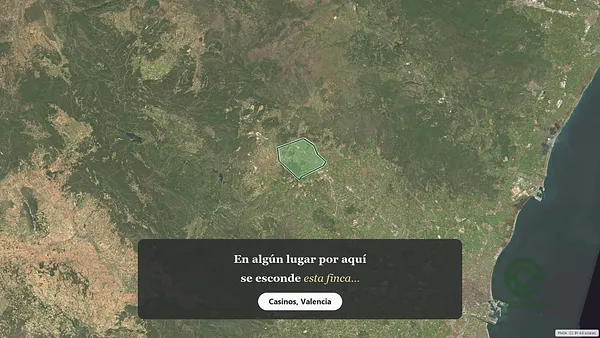 Spot image