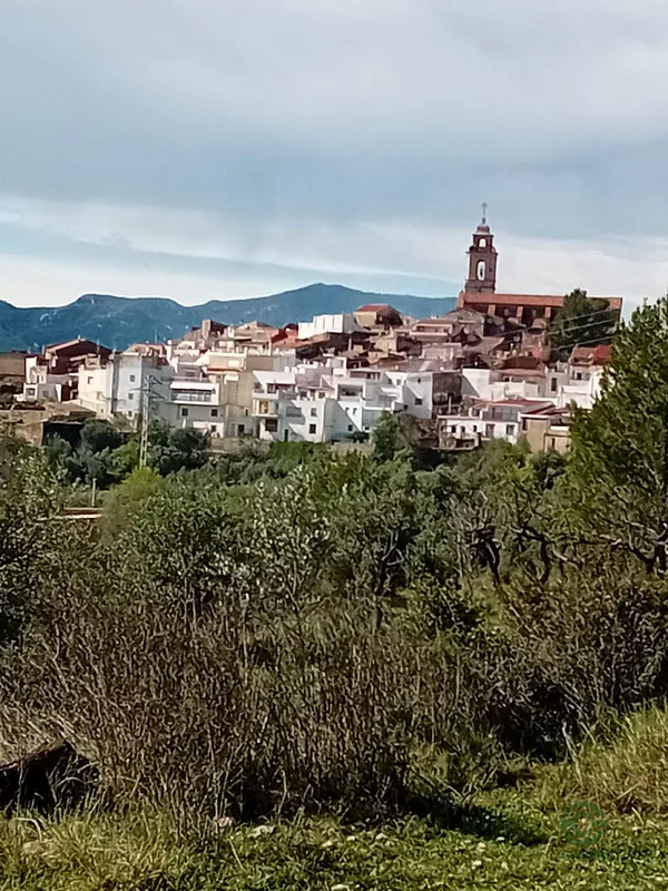 Spot image