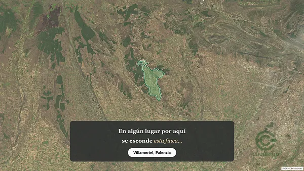 Spot image