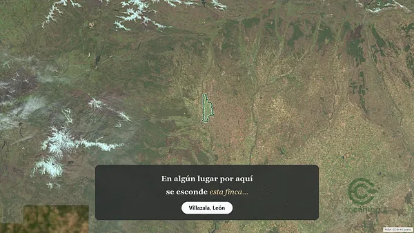 Spot image