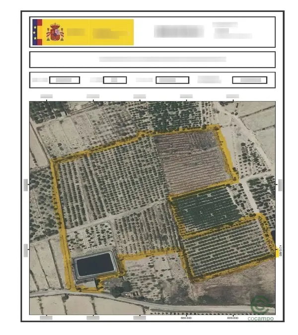 Spot image