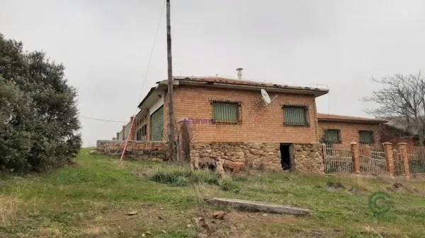 Spot image
