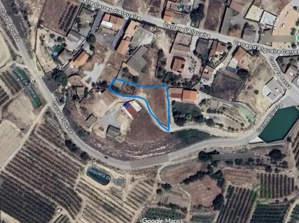 Spot image