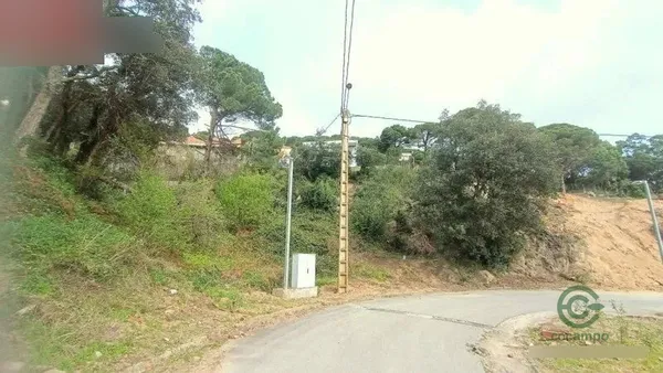 Spot image