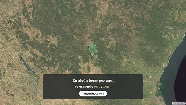 Spot image