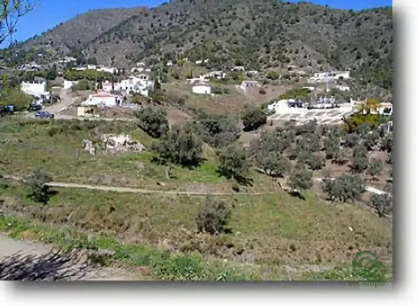 Spot image