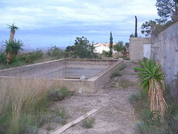 Spot image