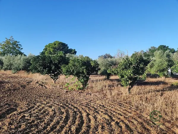 Terreno urbano de 0,4796 ha en venta en Badajoz, Badajoz