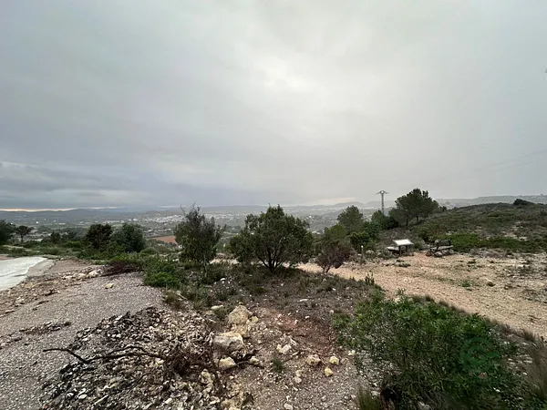 Spot image
