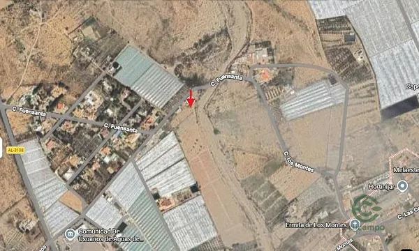 Spot image