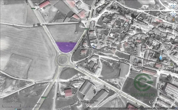 Spot image