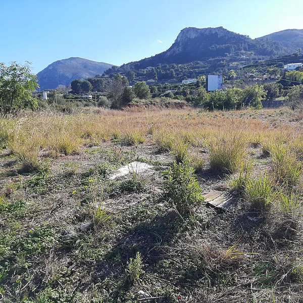 Spot image