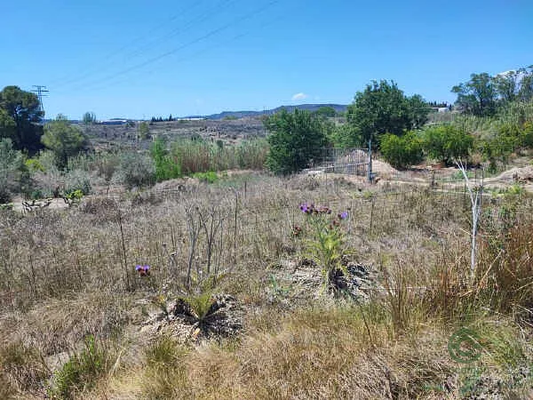Finca rústica de 0,33 ha en venta en Montserrat, Valencia