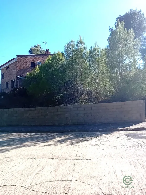 Spot image