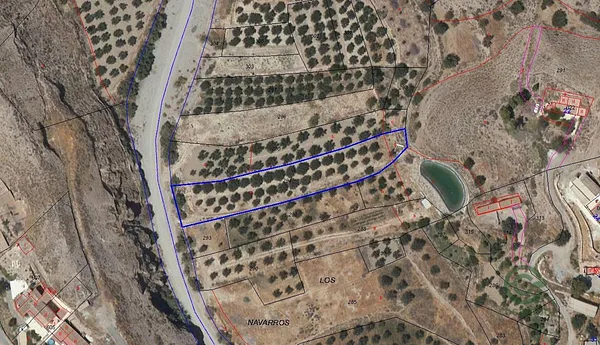 Spot image