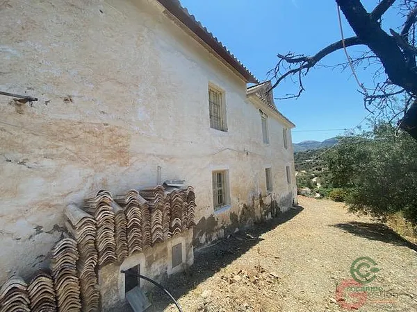 Spot image