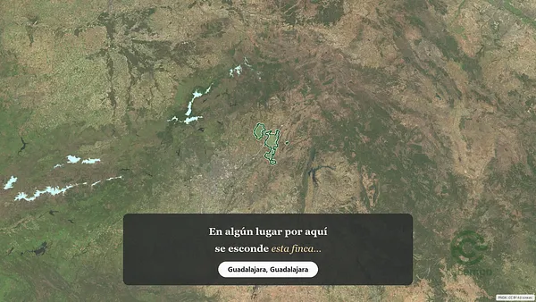 Spot image