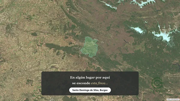 Spot image
