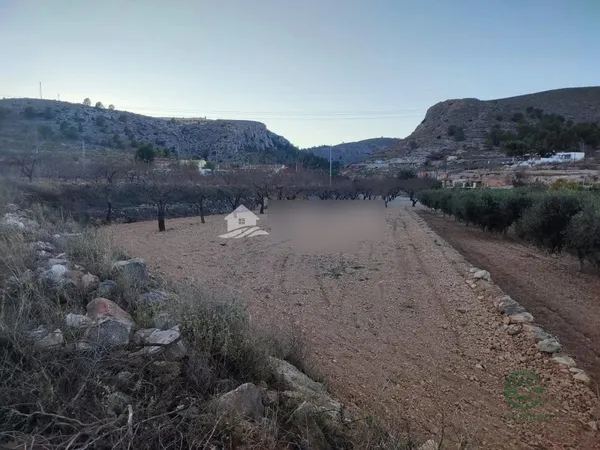 Spot image