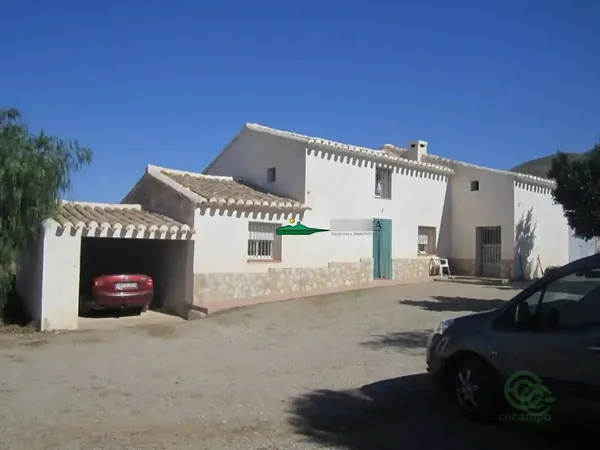 Spot image