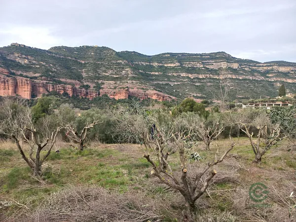 Spot image
