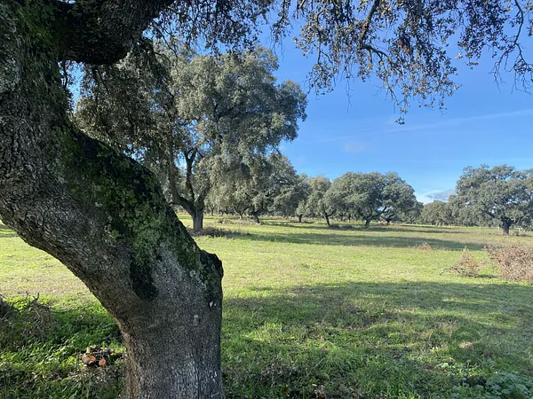 Finca rústica de 9,43 ha en venta en Toledo
