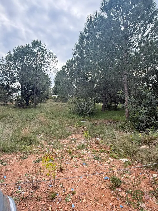 Spot image