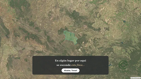 Spot image