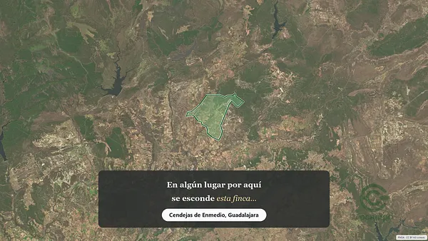Spot image